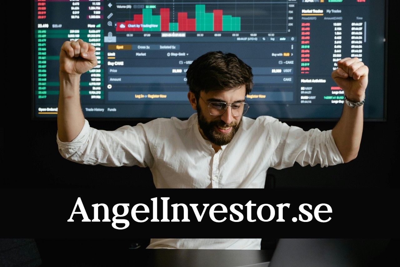 angelinvestor bild