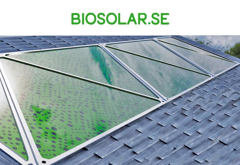 biosolar.se - preview image