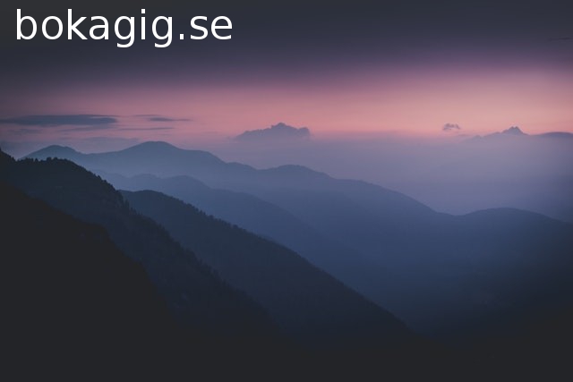 bokagig.se - preview image