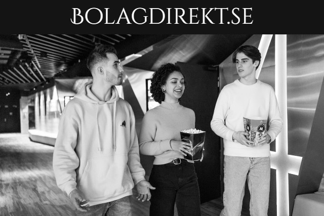 bolagdirekt.se - preview image