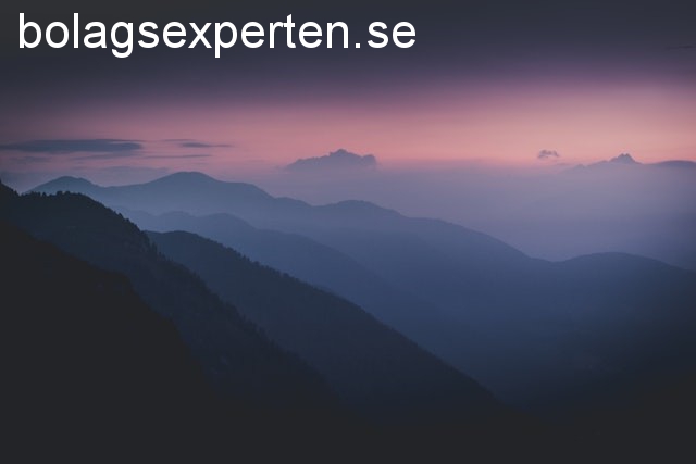 bolagsexperten.se - preview image