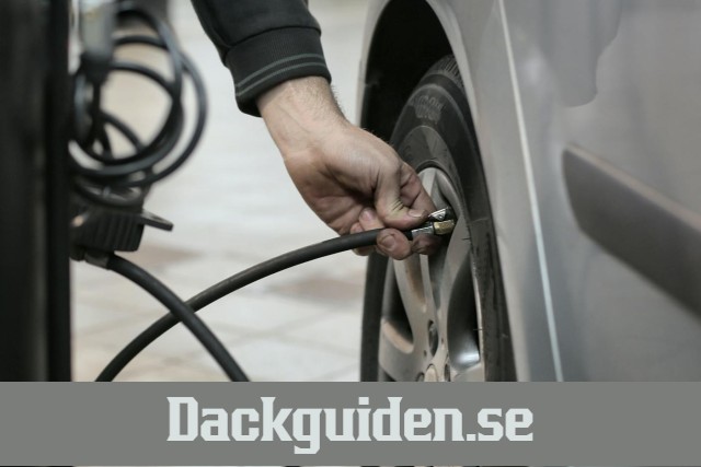 dackguiden.se - preview image