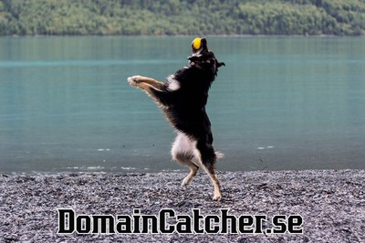 domaincatcher.se - preview image