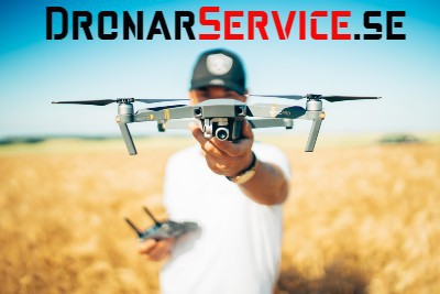 dronarservice.se - preview image