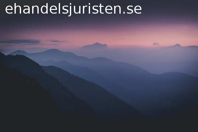 ehandelsjuristen.se - preview image