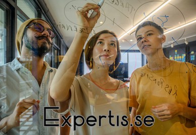 expertis.se - preview image