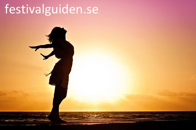 festivalguiden.se - preview image