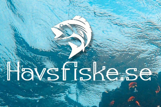 havsfiske.se - preview image
