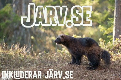 jarv.se - preview image