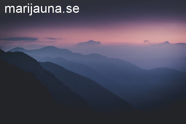 marijauna.se - preview image