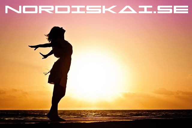 nordiskai.se - preview image