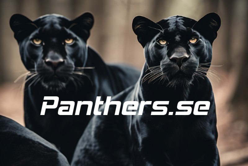 panthers.se - preview image