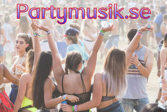 partymusik.se - preview image