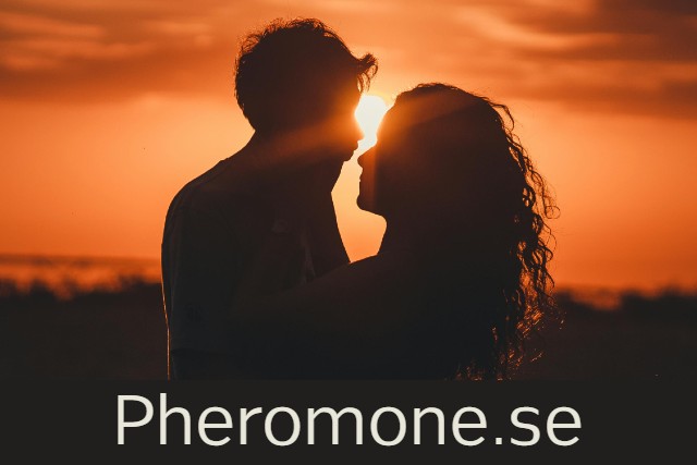 pheromone bild