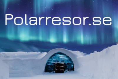polarresor.se - preview image