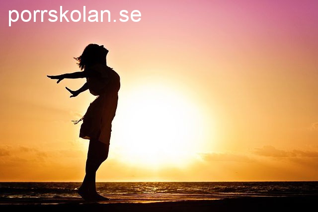 porrskolan.se - preview image