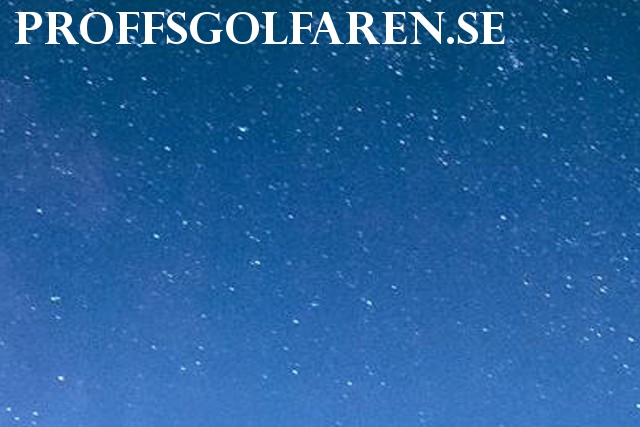 proffsgolfaren bild