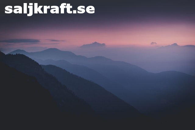 saljkraft.se - preview image