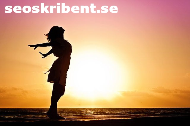 seoskribent.se - preview image