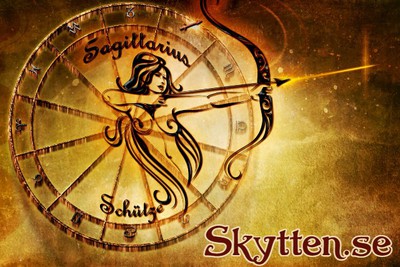 skytten.se - preview image