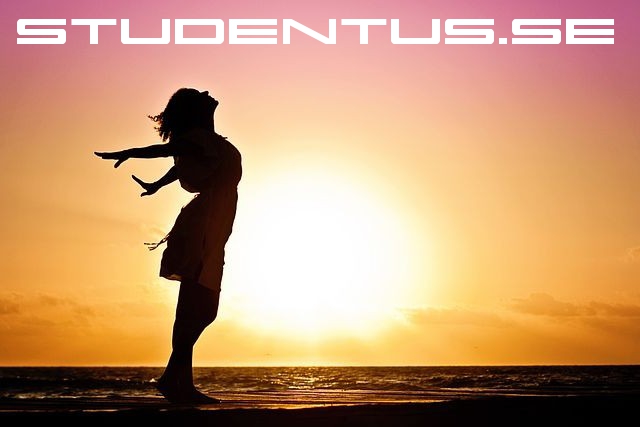 studentus.se - preview image