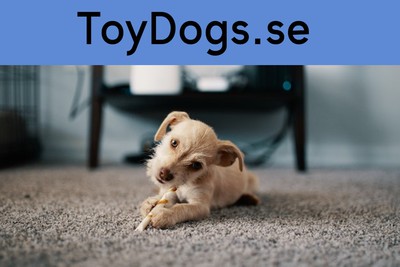 toydogs.se - preview image