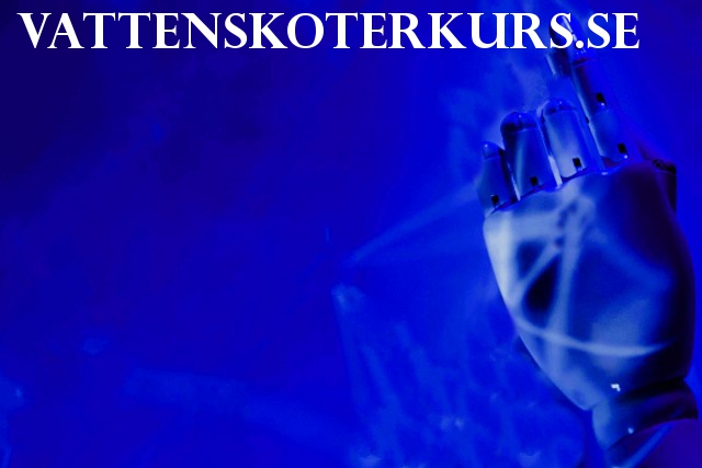 vattenskoterkurs.se - preview image