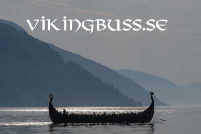 vikingbuss.se - preview image