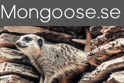 mongoose bild